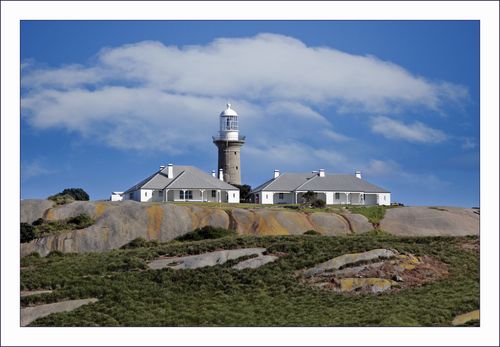 Montague Island